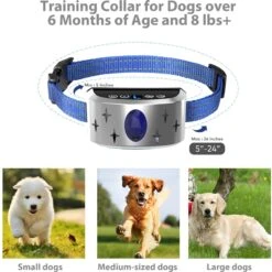 Petdiary B340 Rechargeable Dog Bark Collar, Small 12 Petdiary B340 Rechargeable Dog Bark Collar, Small -PetSafe Kong Shop 778894 PT4. AC SS1800 V1680644637