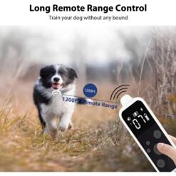 Petdiary T250 Static Rechargeable Remote Dog Training Collar, White & Black, Small -PetSafe Kong Shop 778910 PT2. AC SS1800 V1680644637