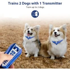 Petdiary T240 Static Remote Rechargeable Dog Training Collar, Blue, Small -PetSafe Kong Shop 778942 PT2. AC SS1800 V1680644635