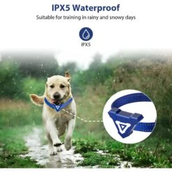 Petdiary T240 Static Remote Rechargeable Dog Training Collar, Blue, Small -PetSafe Kong Shop 778942 PT3. AC SS1800 V1680644635