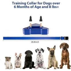 Petdiary T240 Static Remote Rechargeable Dog Training Collar, Blue, Small -PetSafe Kong Shop 778942 PT6. AC SS1800 V1680644635