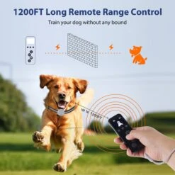 Petdiary T260 Static Remote Rechargeable Dog Training Collar, Black, Small -PetSafe Kong Shop 778974 PT2. AC SS1800 V1680644635