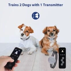 Petdiary T260 Static Remote Rechargeable Dog Training Collar, Black, Small -PetSafe Kong Shop 778974 PT3. AC SS1800 V1680644635