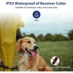 Petdiary T260 Static Remote Rechargeable Dog Training Collar, Black, Small -PetSafe Kong Shop 778974 PT4. AC SS1800 V1680644635