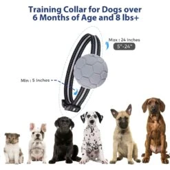 Petdiary T260 Static Remote Rechargeable Dog Training Collar, Black, Small -PetSafe Kong Shop 778974 PT5. AC SS1800 V1680644635