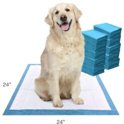 Four Paws Wee-Wee Super Absorbent Dog Pads -PetSafe Kong Shop 77976 PT5. AC SS1800 V1685649666