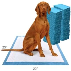 Wee-Wee Odor Control Dog Pee Pads -PetSafe Kong Shop 78004 PT5. AC SS1800 V1646876185