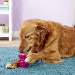 Starmark Everlasting Groovy Ball Tough Dog Chew Toy -PetSafe Kong Shop 78199 PT2. AC SS1800 V1589320274