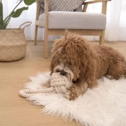 Louie Living Urban Toy Tug Rope Dog Toy, Cream -PetSafe Kong Shop 783022 PT1. AC SS1800 V1684349088