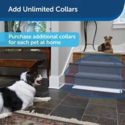 PetSafe Pawz Away Extra Indoor/Outdoor Collar -PetSafe Kong Shop 78410 PT2. AC SS1800 V1605055607
