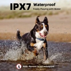 Bousnic Remote Waterproof Electronic Dog Training Collar, Blue 10 Bousnic Remote Waterproof Electronic Dog Training Collar, Blue -PetSafe Kong Shop 784118 PT3. AC SS1800 V1695148533