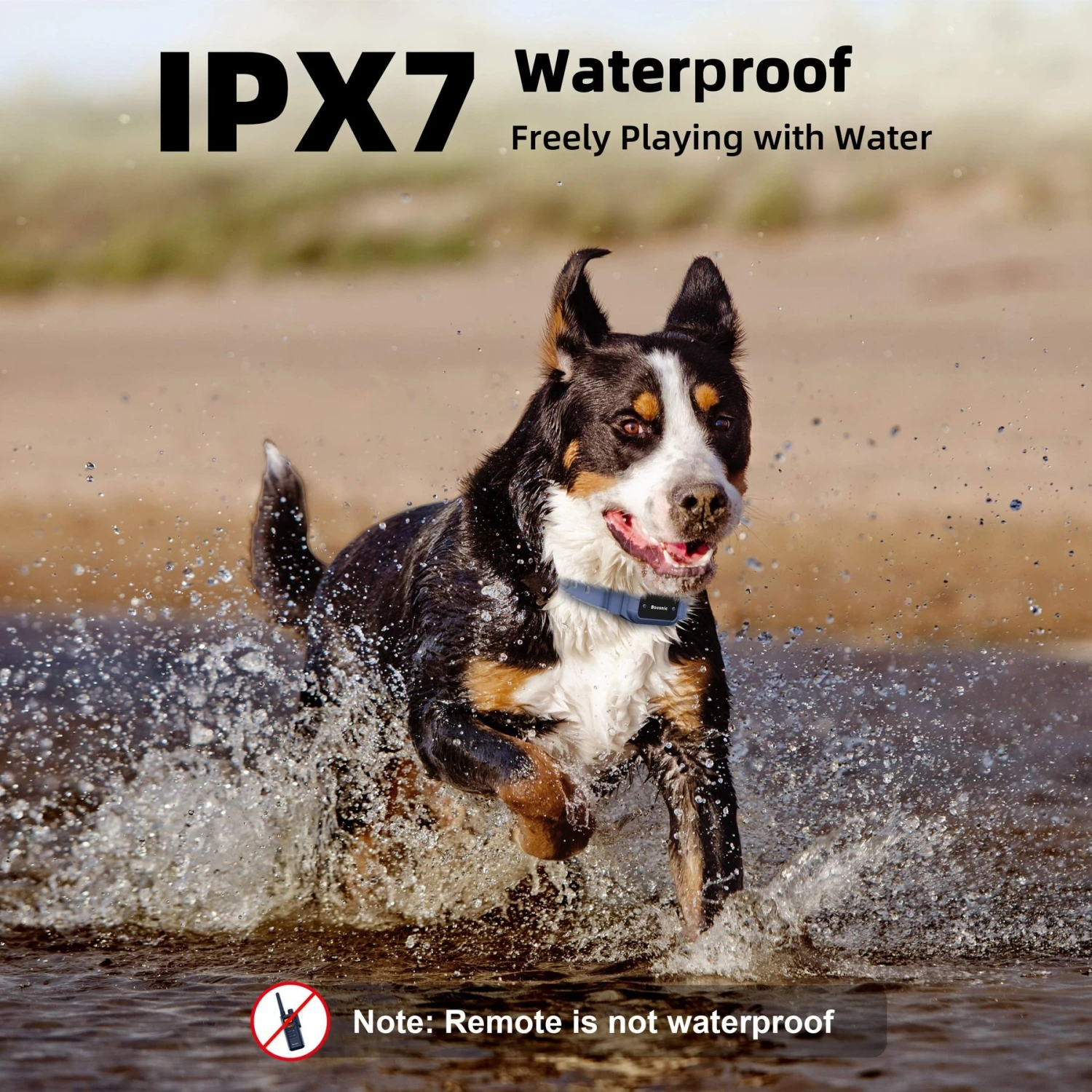 Bousnic Remote Waterproof Electronic Dog Training Collar, Blue 4 Bousnic Remote Waterproof Electronic Dog Training Collar, Blue - Image 4