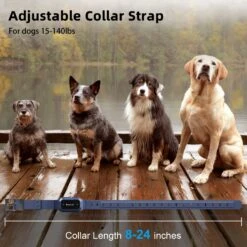 Bousnic Remote Waterproof Electronic Dog Training Collar, Blue 11 Bousnic Remote Waterproof Electronic Dog Training Collar, Blue -PetSafe Kong Shop 784118 PT4. AC SS1800 V1695148531