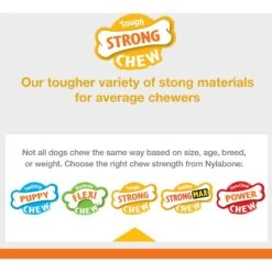 Nylabone Sneaky Snacker Bacon Flavor Dog Treat Toy, Orange 16 Nylabone Sneaky Snacker Bacon Flavor Dog Treat Toy, Orange -PetSafe Kong Shop 784398 PT7. AC SS1800 V1677077853