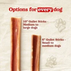 Natural Farm Gullet Jerky Sticks Dog Treats, 5-in, 20 Count -PetSafe Kong Shop 784742 PT4. AC SS1800 V1682018132
