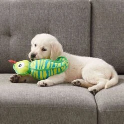 Outward Hound Xtreme Seamz Lizard Squeaky Durable Dog Toy, Green, Medium 12 Outward Hound Xtreme Seamz Lizard Squeaky Durable Dog Toy, Green, Medium -PetSafe Kong Shop 786382 PT5. AC SS1800 V1682627948