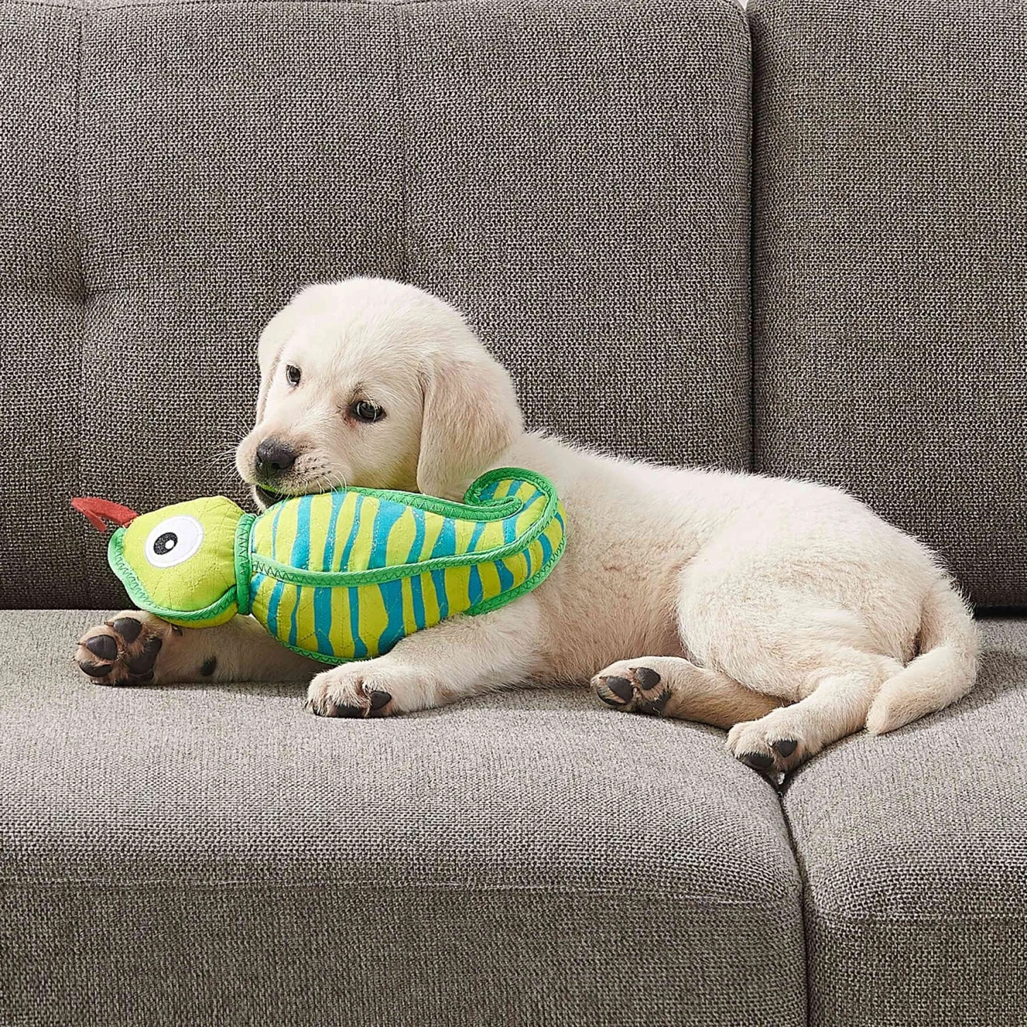 Outward Hound Xtreme Seamz Lizard Squeaky Durable Dog Toy, Green, Medium 6 Outward Hound Xtreme Seamz Lizard Squeaky Durable Dog Toy, Green, Medium - Image 6