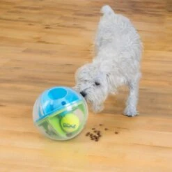Outward Hound A-Maze Ball Puzzle & Treat Maze Interactive Dog Toy, Green 13 Outward Hound A-Maze Ball Puzzle & Treat Maze Interactive Dog Toy, Green -PetSafe Kong Shop 786510 PT6. AC SS1800 V1682628695