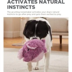 Outward Hound Jumbros Elephant Grunting Ball Dog Toy, Purple, Medium 11 Outward Hound Jumbros Elephant Grunting Ball Dog Toy, Purple, Medium -PetSafe Kong Shop 786542 PT3. AC SS1800 V1682628596