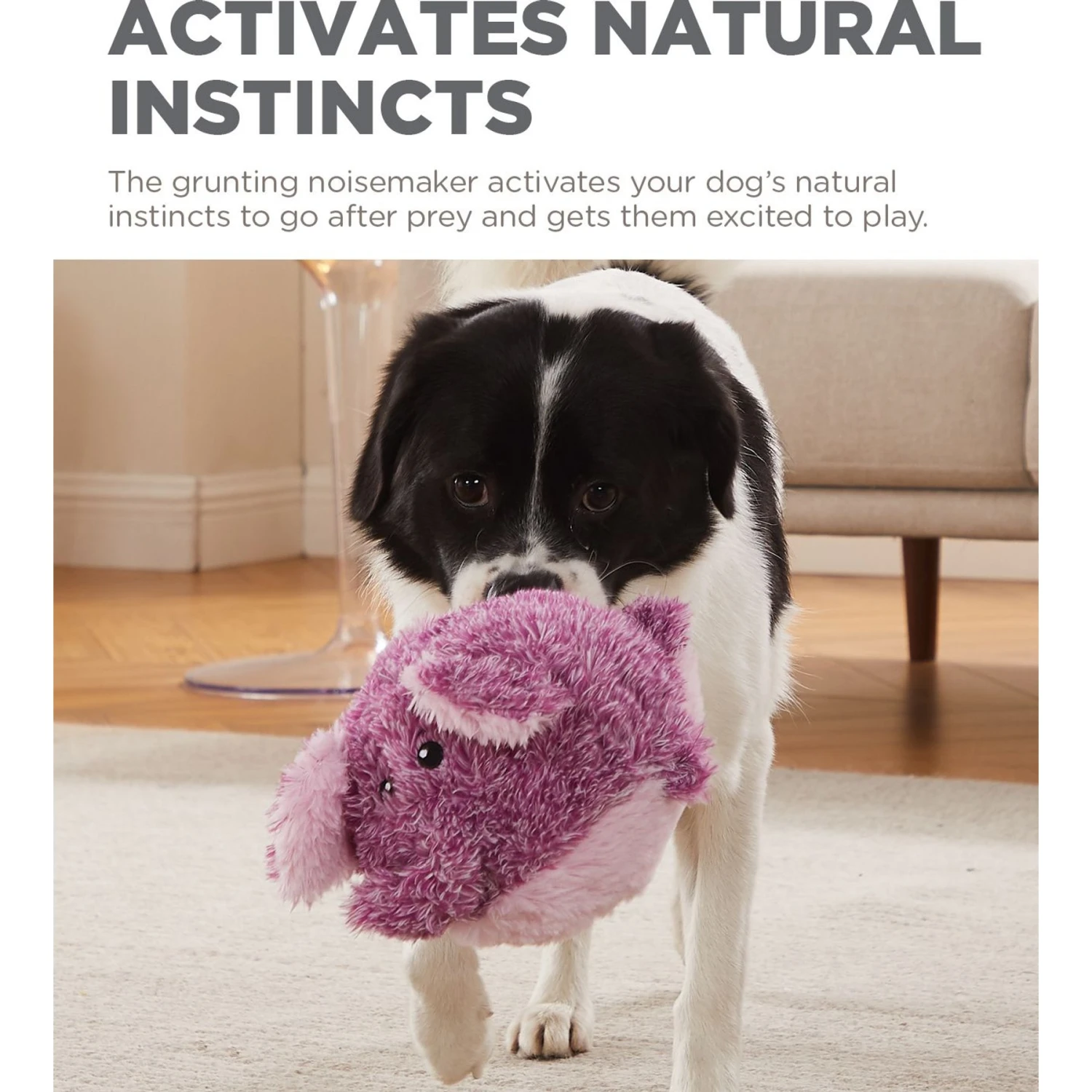 Outward Hound Jumbros Elephant Grunting Ball Dog Toy, Purple, Medium 4 Outward Hound Jumbros Elephant Grunting Ball Dog Toy, Purple, Medium - Image 4