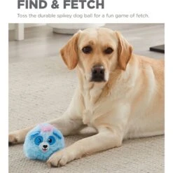 Outward Hound Reversi-Balls Panda Inside Reversible Plush Shell Spike Ball Dog Toy, Blue -PetSafe Kong Shop 786606 PT4. AC SS1800 V1682628217