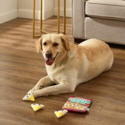 Outward Hound Snack Bag Tortilla Chips Puzzle Squeaky Dog Toy, Multicolor -PetSafe Kong Shop 786702 PT4. AC SS1800 V1682627921