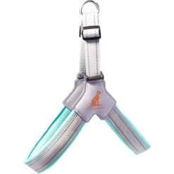 Doggy Tales Step In V Dog Harness