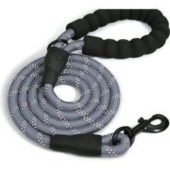 Doggy Tales Braided Dog Leash, 5-ft