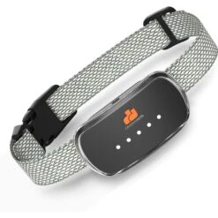 GroovyPets Rechargeable Waterproof Bark Control Training Dog Collar, Black, One Size