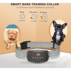 GroovyPets Rechargeable Waterproof Bark Control Training Dog Collar, Black, One Size -PetSafe Kong Shop 789310 PT3. AC SS1800 V1686592309