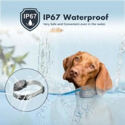 GroovyPets Rechargeable Waterproof Bark Control Training Dog Collar, Black, One Size -PetSafe Kong Shop 789310 PT4. AC SS1800 V1686592037