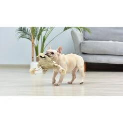 Fetch For Pets Nightmare Before Christmas Halloween Oogie Boogie Flattie Dog Toy, 9-in -PetSafe Kong Shop 789454 PT3. AC SS1800 V1690293697