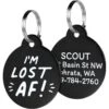 GoTags I'm Lost AF! Bone Personalized Dog ID Tag