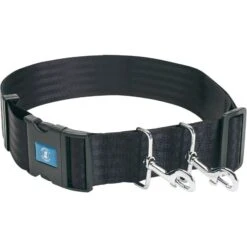 Training COA Hands Free Dog Leash, Blue