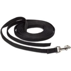 Training COA Recall Line Dog Leash