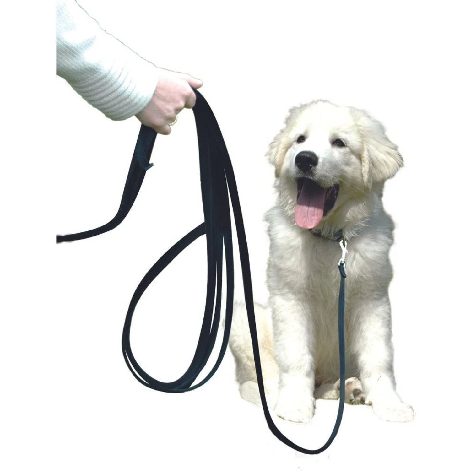 Training COA Recall Line Dog Leash 2 Training COA Recall Line Dog Leash - Image 2