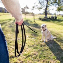 Training COA Recall Line Dog Leash 7 Training COA Recall Line Dog Leash -PetSafe Kong Shop 791302 PT2. AC SS1800 V1681243488