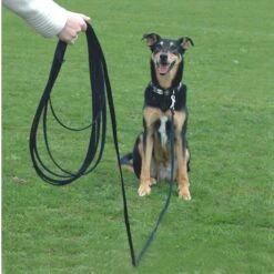 Training COA Recall Line Dog Leash 8 Training COA Recall Line Dog Leash -PetSafe Kong Shop 791302 PT3. AC SS1800 V1681238278