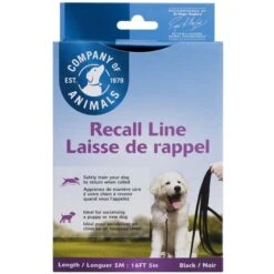 Training COA Recall Line Dog Leash 9 Training COA Recall Line Dog Leash -PetSafe Kong Shop 791302 PT4. AC SS1800 V1681241477