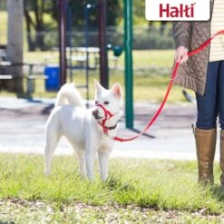 Halti Training Lead Dog Leash -PetSafe Kong Shop 791494 PT4. AC SS1800 V1681318215