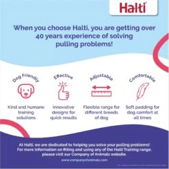 Halti Training Lead Dog Leash -PetSafe Kong Shop 791494 PT5. AC SS1800 V1681326125