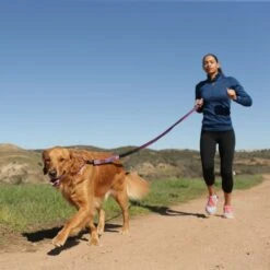 Halti All-In-One-Lead Dog Leash -PetSafe Kong Shop 791566 PT2. AC SS1800 V1681241589