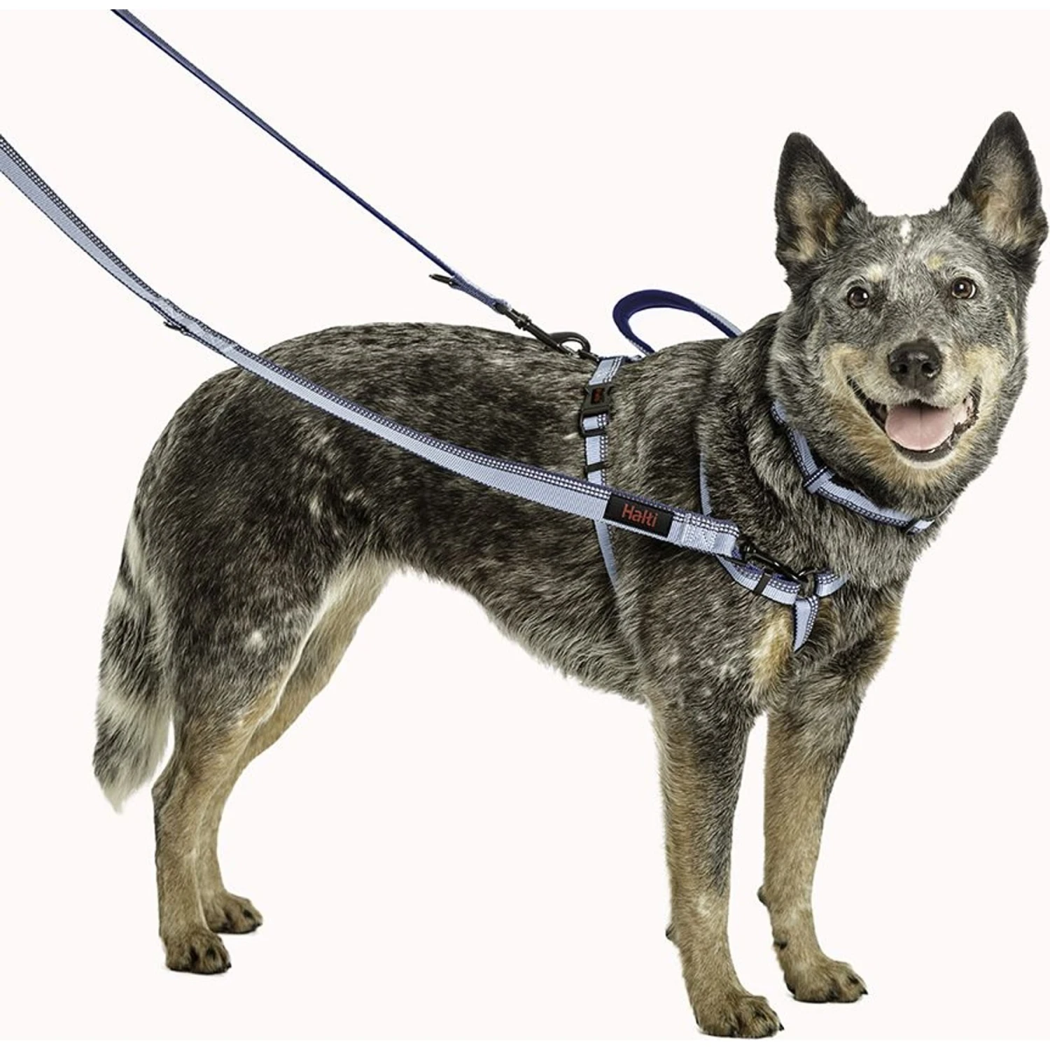 Halti Double Ended Lead Dog Leash 3 Halti Double Ended Lead Dog Leash - Image 3