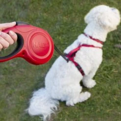 Halti Retractable Lead Dog Leash -PetSafe Kong Shop 791838 PT6. AC SS1800 V1681249018