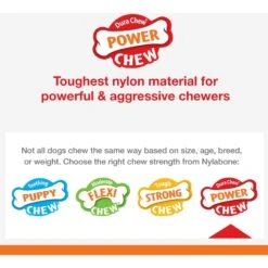 Nylabone Power Chew Baguette Dog Toy Chicken 15 Nylabone Power Chew Baguette Dog Toy Chicken -PetSafe Kong Shop 794742 PT6. AC SS1800 V1689707871