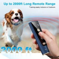Bousnic 2000ft Remote Range Electronic Dog Training Collar, Blue -PetSafe Kong Shop 796542 PT2. AC SS1800 V1701932627