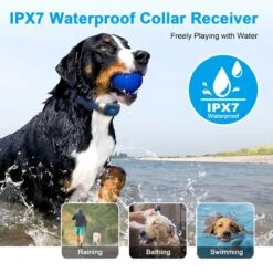 Bousnic 2000ft Remote Range Electronic Dog Training Collar, Blue -PetSafe Kong Shop 796542 PT3. AC SS1800 V1701882566