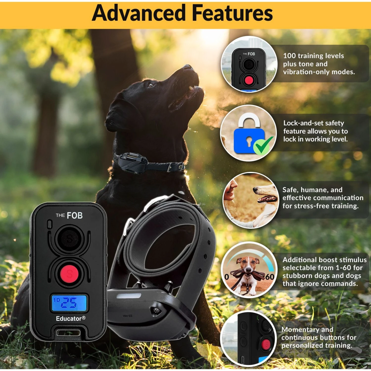 Educator FE-560 FOB Dog Remote Training System, Black 2 Educator FE-560 FOB Dog Remote Training System, Black - Image 2