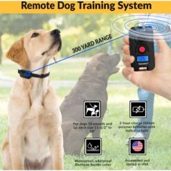 Educator FE-560 FOB Dog Remote Training System, Black 8 Educator FE-560 FOB Dog Remote Training System, Black -PetSafe Kong Shop 796958 PT2. AC SS1800 V1679591737