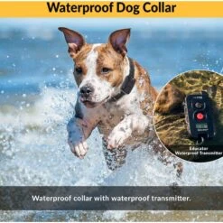 Educator FE-562 FOB 2 Dog Remote Training System, Black -PetSafe Kong Shop 796990 PT4. AC SS1800 V1679591778